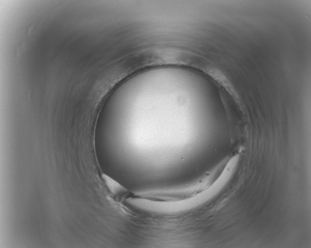 X0000066970481200604072034