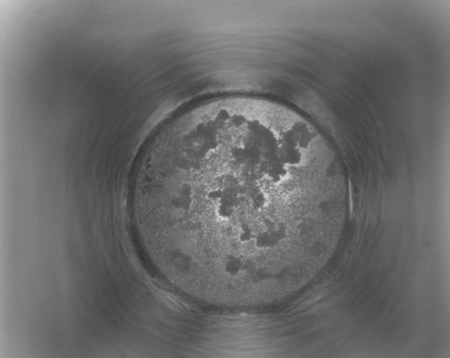 X0000066970483200604072034