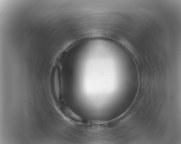 X0000066970485200604072034