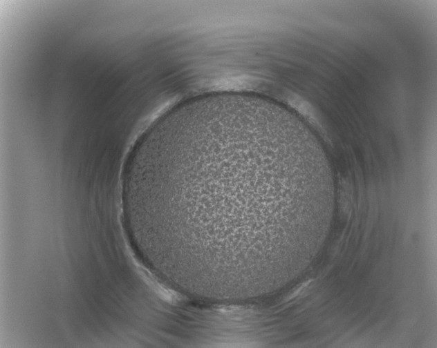 X0000066970486200604072034