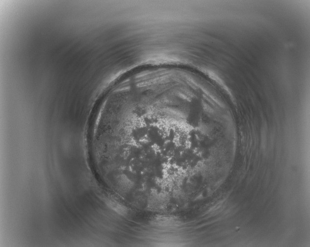 X0000066970487200604072034