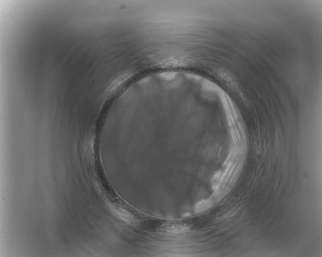 X0000066970491200604072034