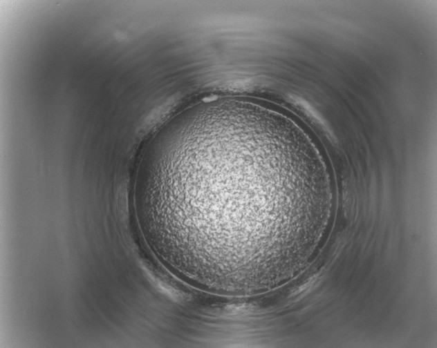 X0000066970493200604072034