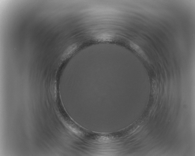 X0000066970494200604072034