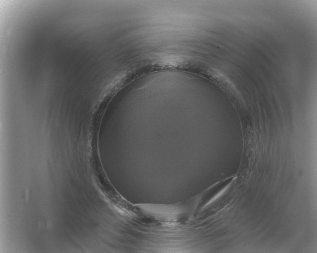 X0000066970496200604072034