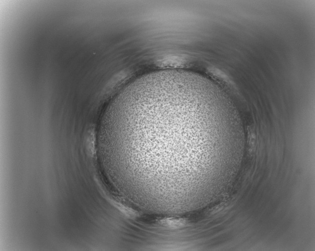 X0000066970498200604072034