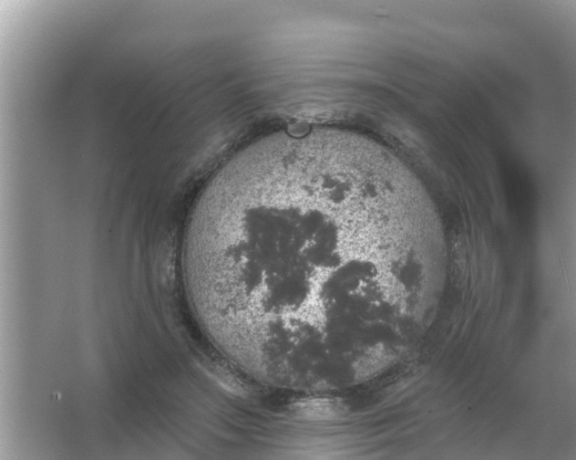 X0000066970499200604072034