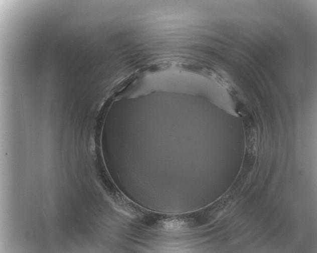 X0000066970500200604072034