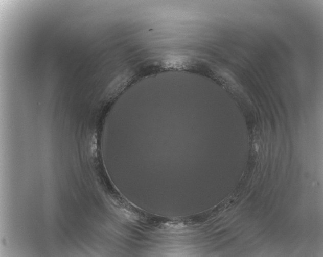 X0000066970502200604072034