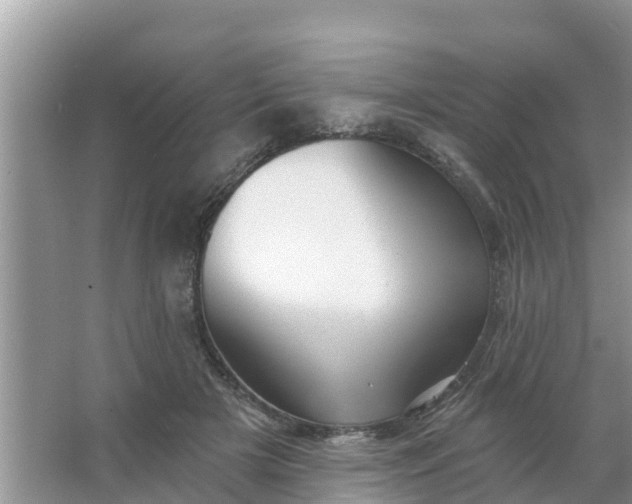 X0000066970505200604072034