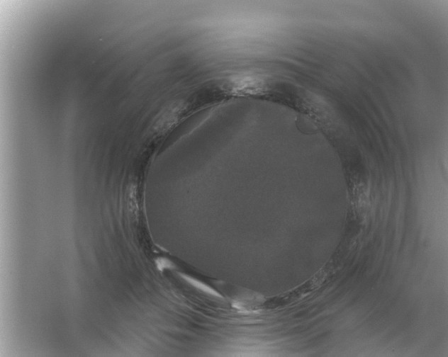 X0000066970506200604072034