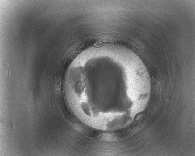 X0000066970507200604072034