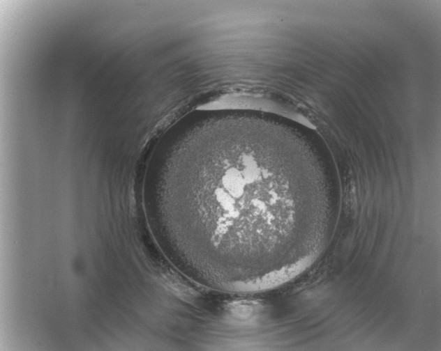 X0000066970508200604072034