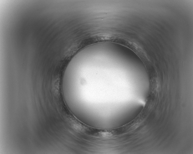 X0000066970509200604072034