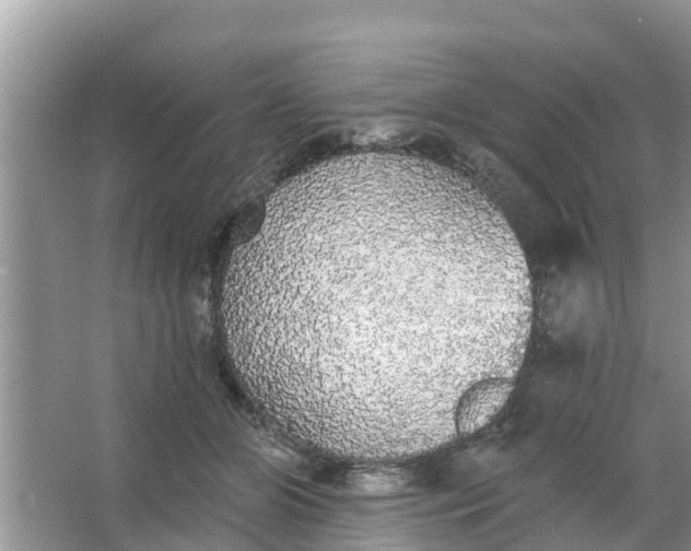 X0000066970510200604072034