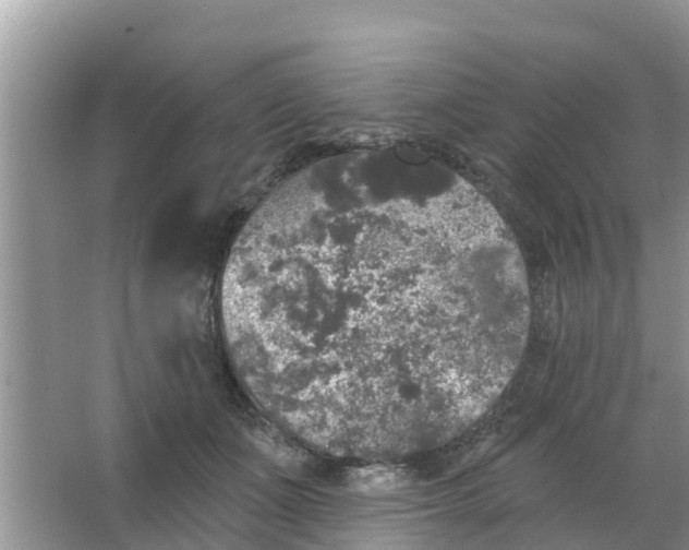 X0000066970511200604072034