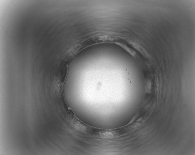 X0000066970513200604072034