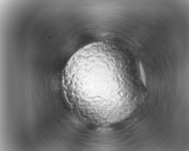 X0000066970515200604072034