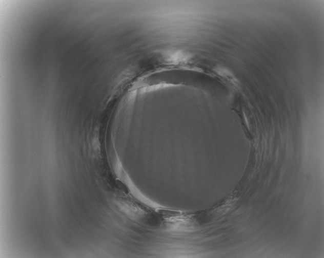 X0000066970516200604072034