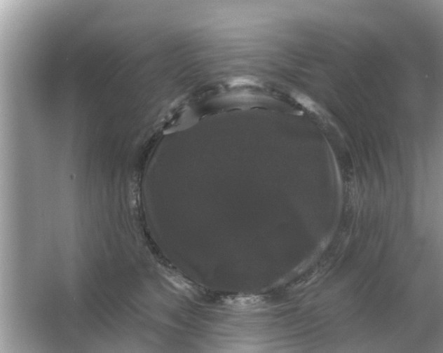 X0000066970517200604072034