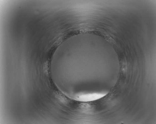 X0000066970519200604072034