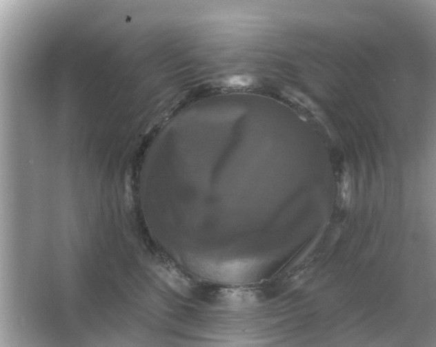 X0000066970520200604072034