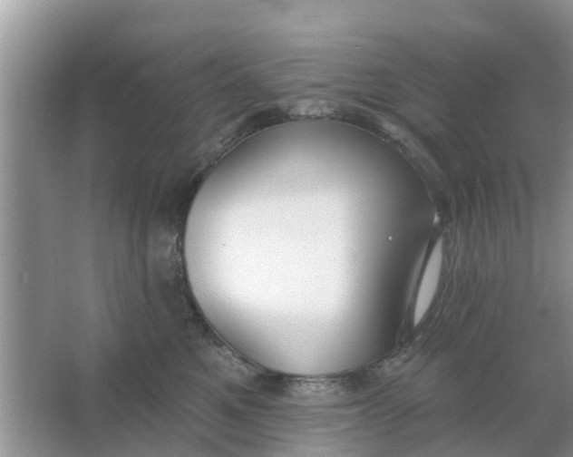 X0000066970521200604072034