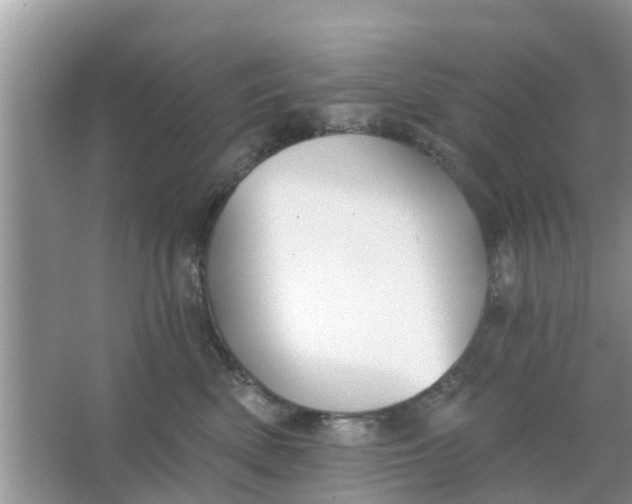 X0000066970522200604072034