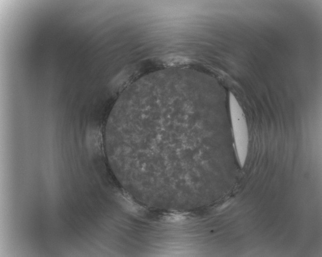 X0000066970523200604072033