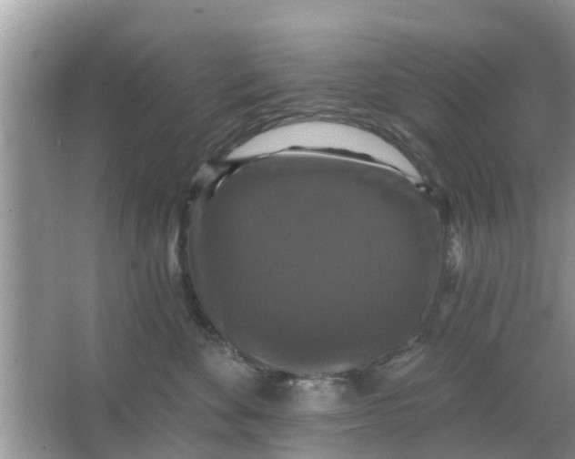 X0000066970524200604072033