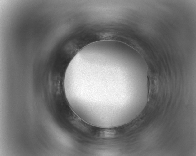 X0000066970525200604072033