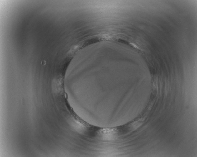 X0000066970526200604072033