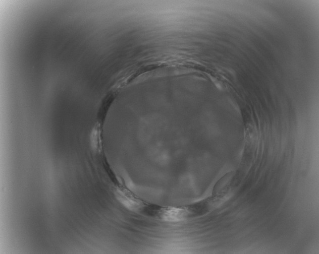 X0000066970527200604072033