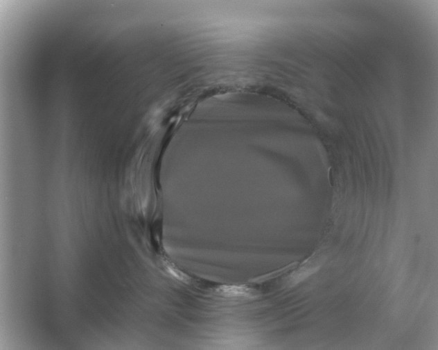 X0000066970528200604072033