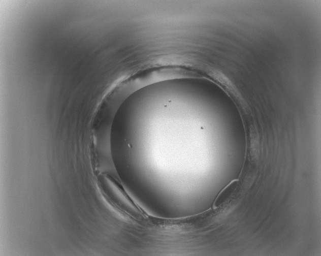 X0000066970530200604072033