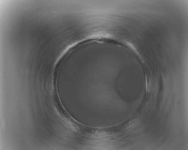 X0000066970531200604072033