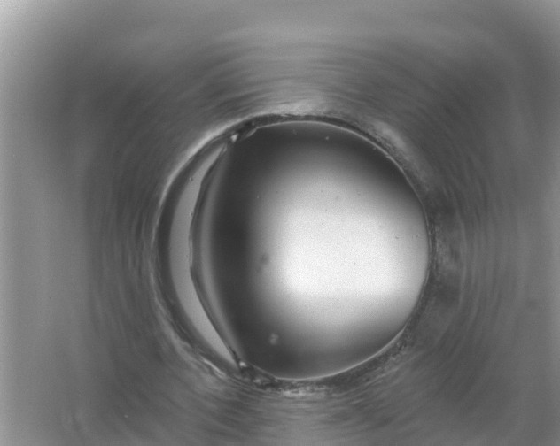 X0000066970532200604072033