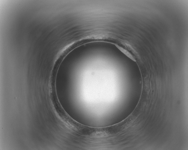 X0000066970536200604072033