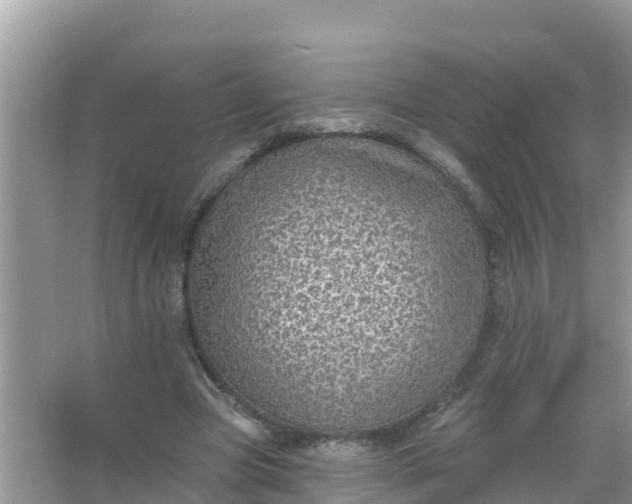 X0000066970537200604072033