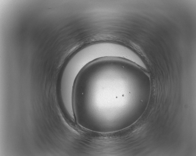 X0000066970538200604072033