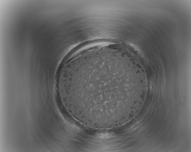 X0000066970540200604072033