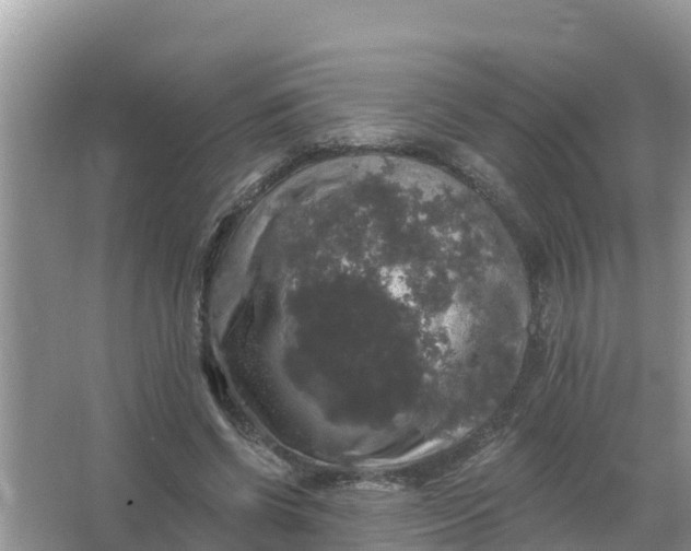 X0000066970542200604072033