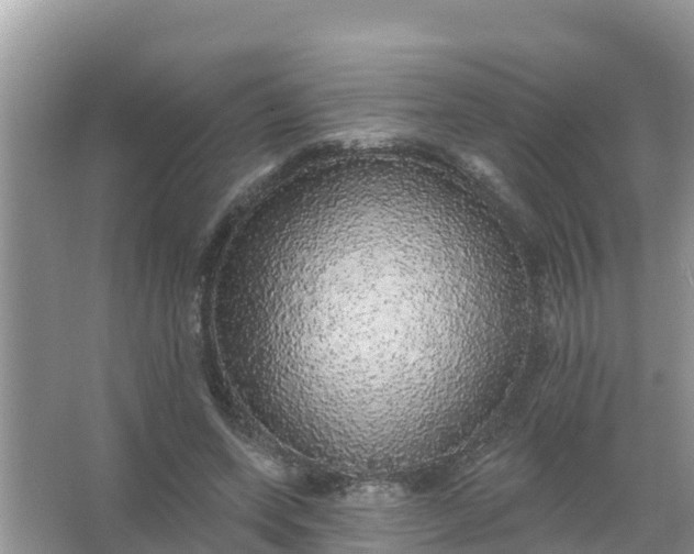 X0000066970543200604072033