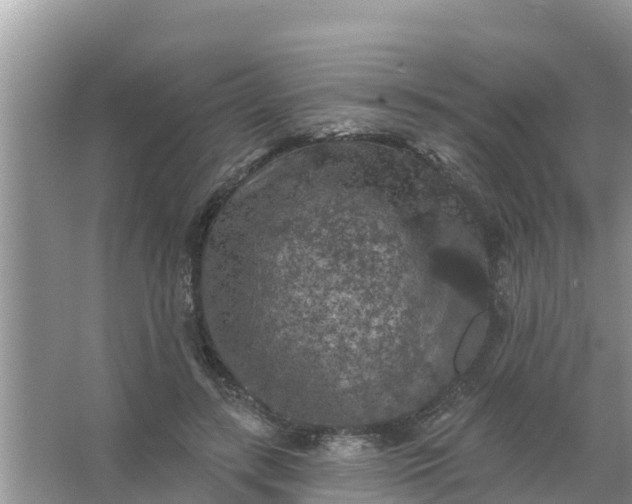 X0000066970547200604072033