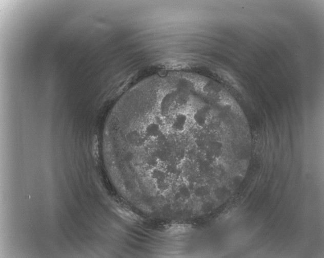 X0000066970549200604072033