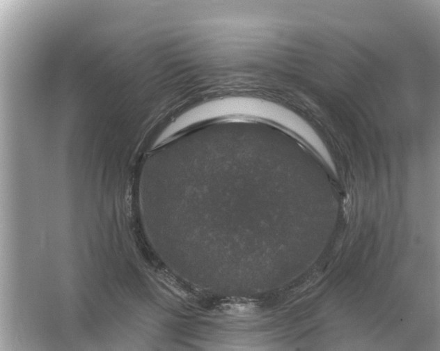 X0000066970552200604072033