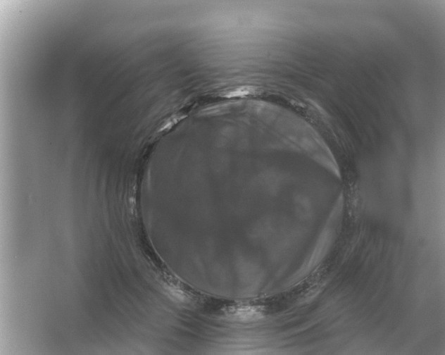 X0000066970553200604072033