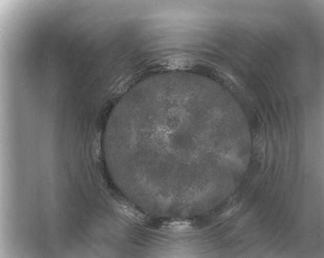 X0000066970554200604072033