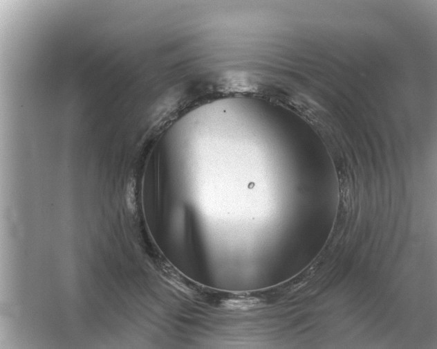 X0000066970556200604072033