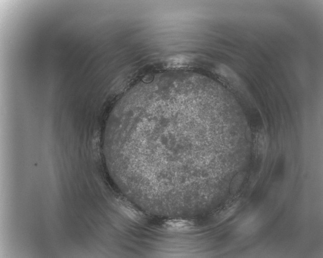 X0000066970557200604072033